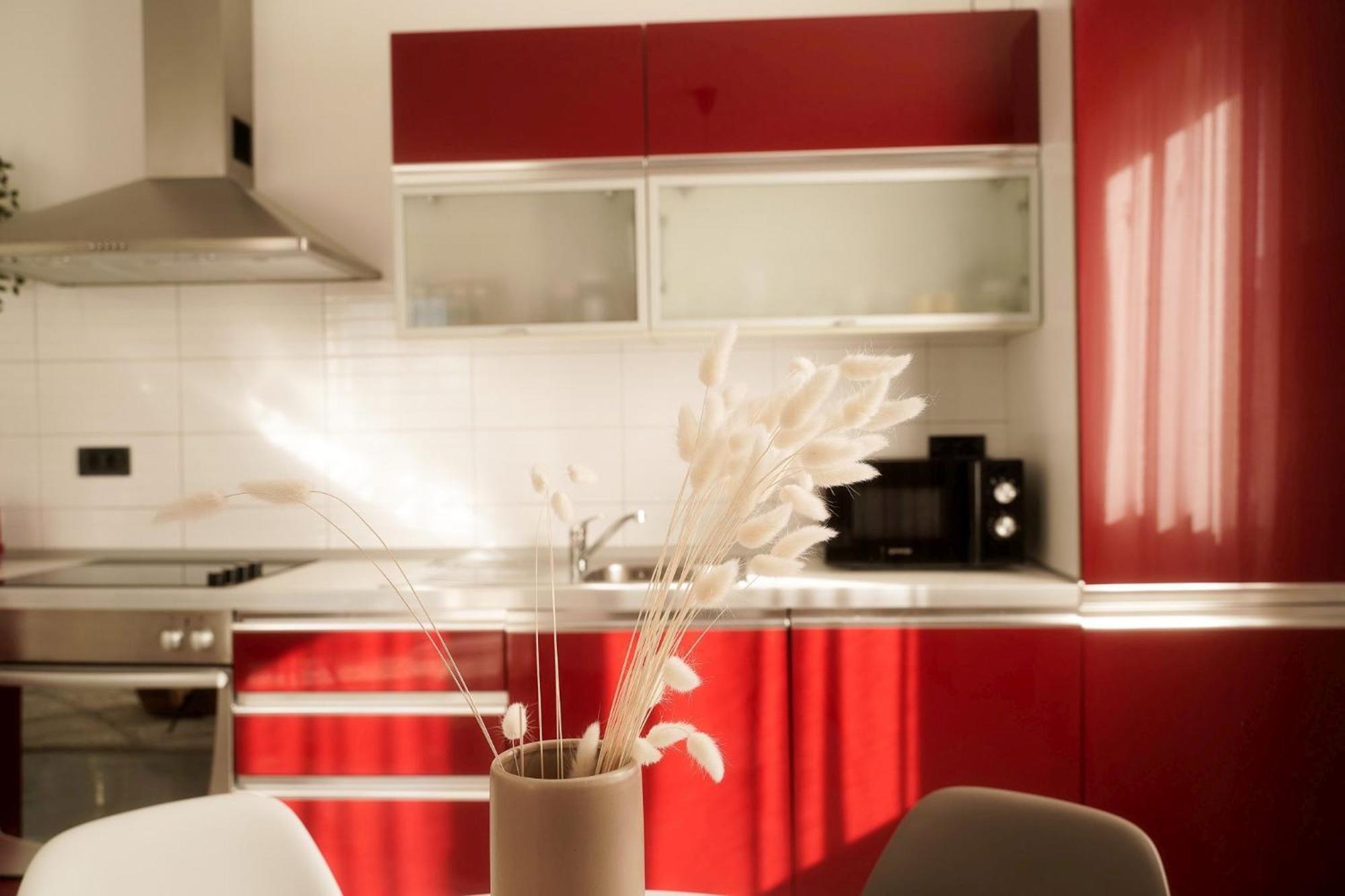 Dandelion Apartment Rovinj-Free Bikes Extérieur photo