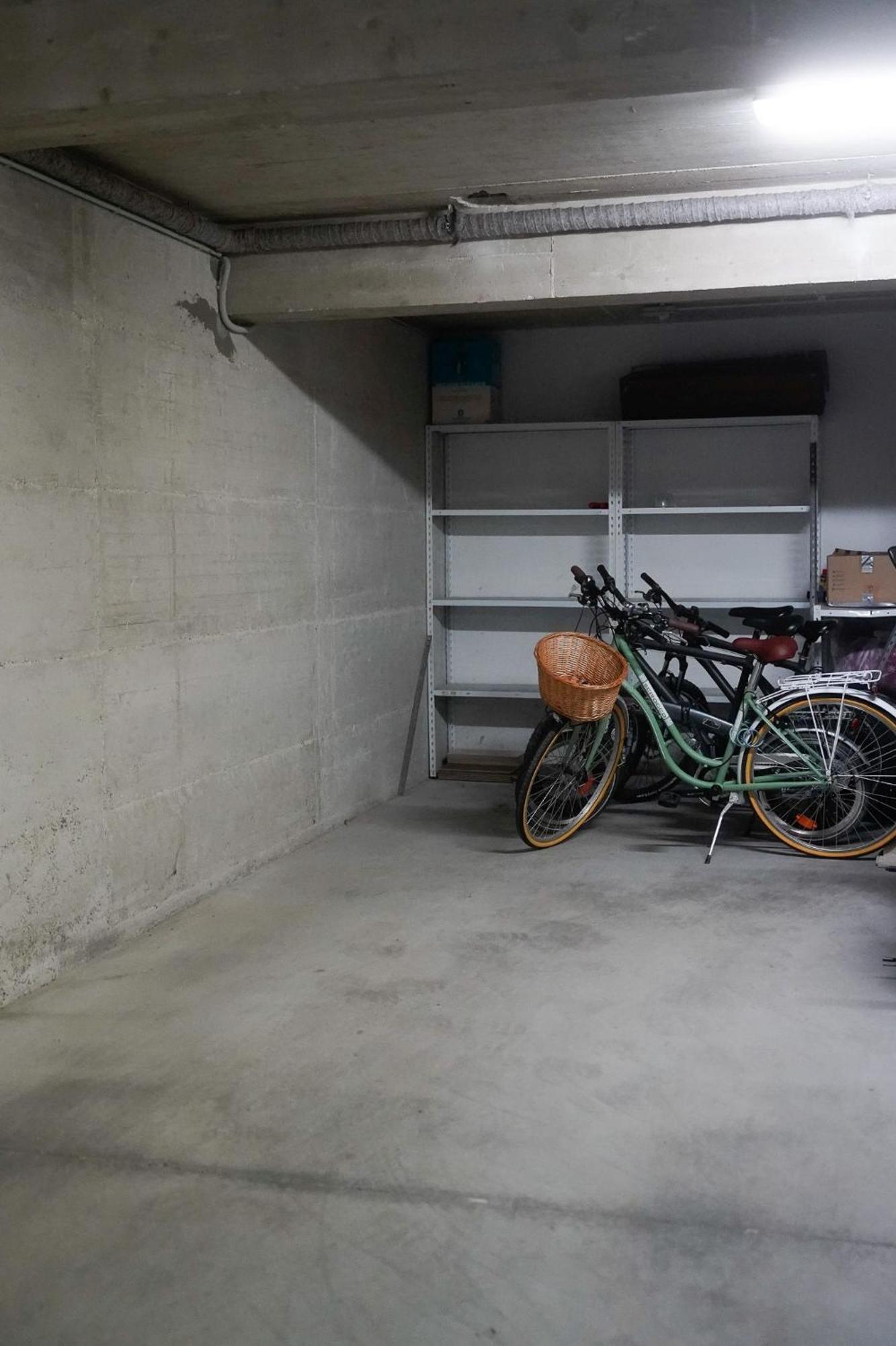 Dandelion Apartment Rovinj-Free Bikes Extérieur photo
