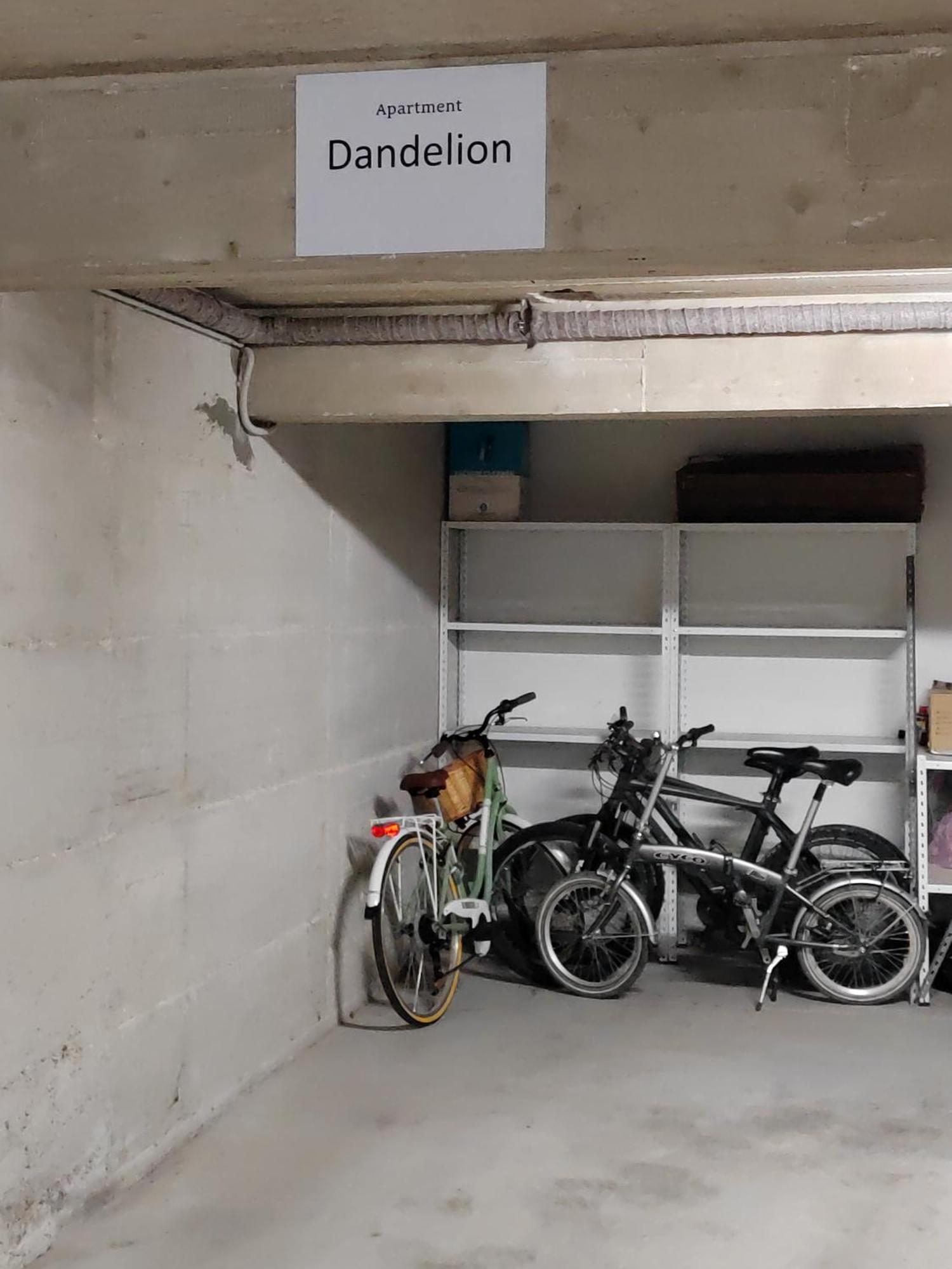 Dandelion Apartment Rovinj-Free Bikes Extérieur photo